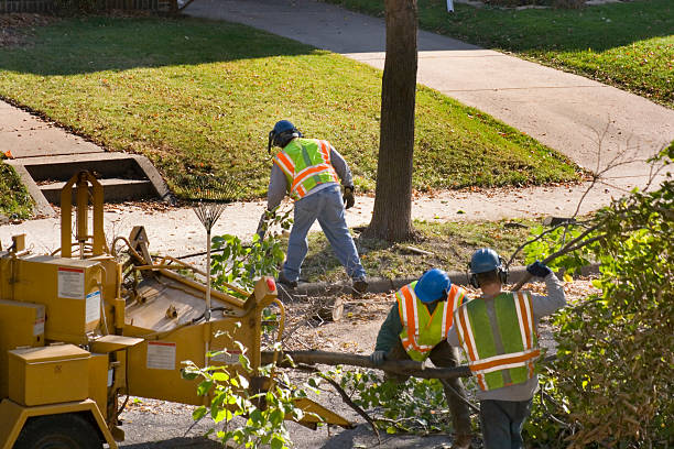 Best Lawn Watering Services  in Robert Lee, TX